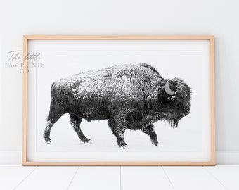 Bison Print, Buffalo Art Print, Black and White Buffalo, Bison Art Print, Bison Poster, Bison Wall Art, Animal Wall Art, Digital Art