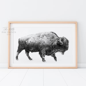 Bison Print, Buffalo Art Print, Black and White Buffalo, Bison Art Print, Bison Poster, Bison Wall Art, Animal Wall Art, Digital Art