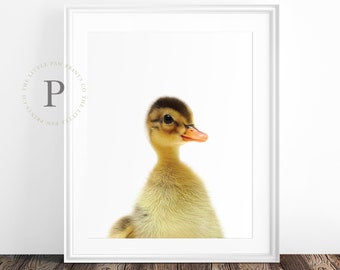 Duckling Print, Nursery Baby Animal Wall Art, Farm Decor, Farmhouse Printable, Instant Digital Download, Baby "Woodland Duck" Print