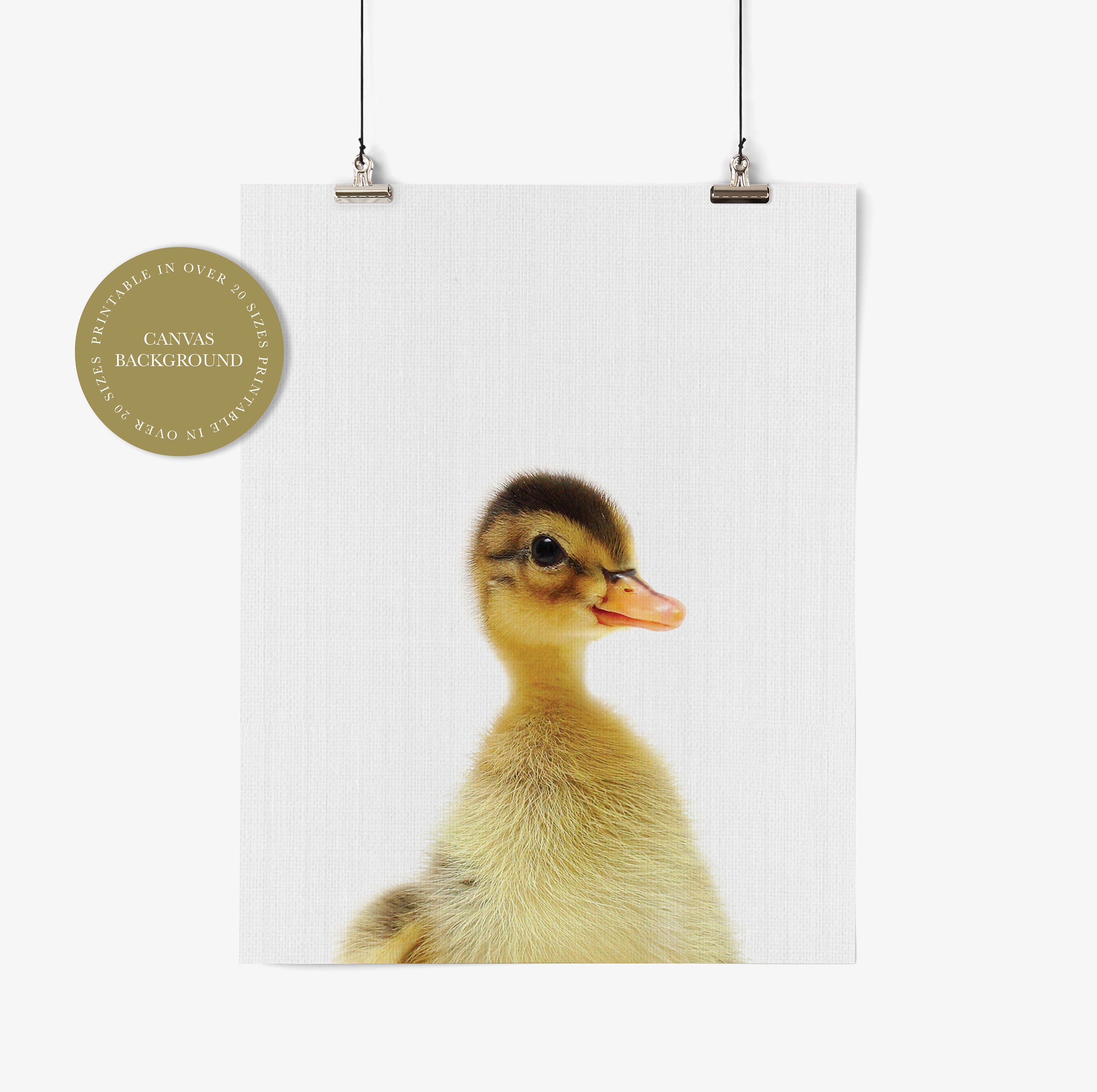 Farm Baby Animal Prints, Farm Animals Wall Art, Farm Nursery Decor