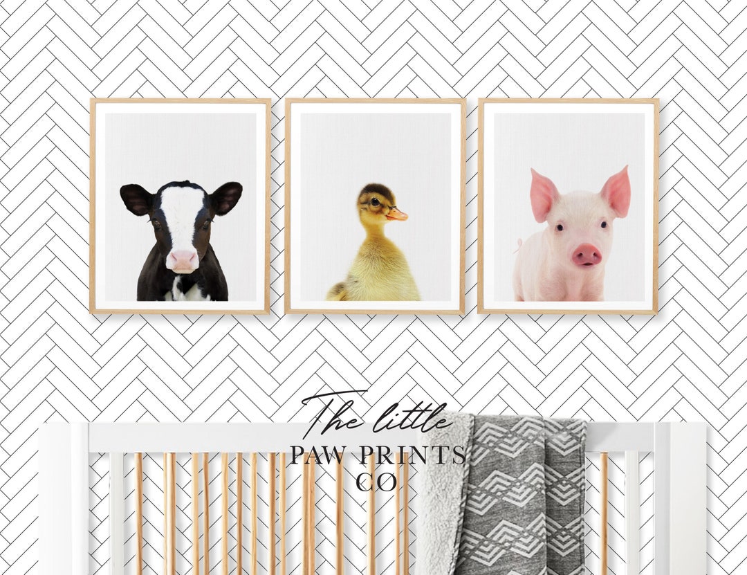 Farm Baby Animal Prints, Farm Animals Wall Art, Farm Nursery Decor