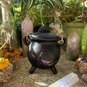 May include: A small, black cast iron cauldron with a lid, three legs, and two handles. The cauldron features a decorative design on the front. The background includes crystals, plants, and dried flowers, creating a mystical aesthetic.