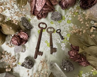 Vintage Skeleton Key Set IV