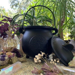 Large Tree of Life Cast Iron Cauldron w/three Herbs Kit