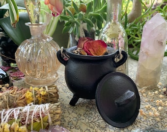 Mini Plain Cast Iron Cauldron w/Lid