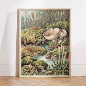 May include: A framed botanical print displaying a detailed illustration of a wetland environment. The artwork features diverse plant life, including carnivorous sundews with red leaves, green moss, and large white fungi. The frame is made of light-coloured wood.