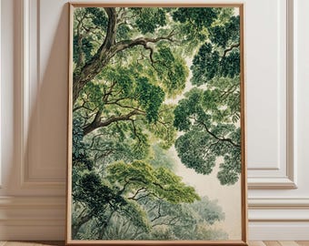 Forest Canopy Wall Art, Botanical Tree Top Print, Woodland Nature Decor
