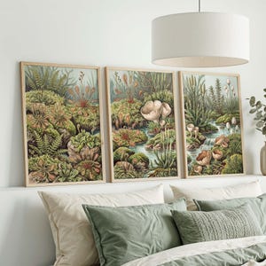 May include: Three framed botanical prints displaying detailed illustrations of plants and fungi in a natural setting. The artwork features greens, browns, and red accents, set against a light blue backdrop. The frames are a light wood colour.