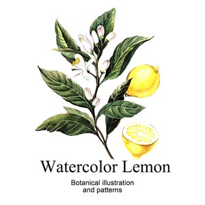 Ilustração botânica em aquarela e padrões/Conjunto pequeno/Pintado à mão/Presente pessoal/Casamento/Primavera/Jardim/Decoração de interiores