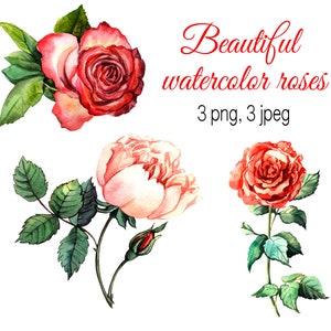 Aquarell Rosen Clipart: Blumen-Hochzeitsdeko (PNG)