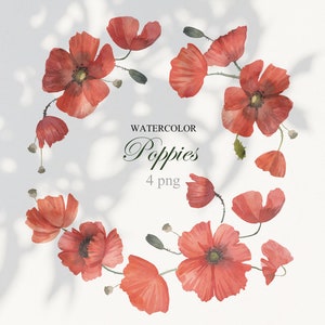 Clipart de coquelicot rouge aquarelle. Fleurs de coquelicots peintes à la main, couronne et bouquets. Clipart floral de champ d’été, bricolage. PNG 300 dpi