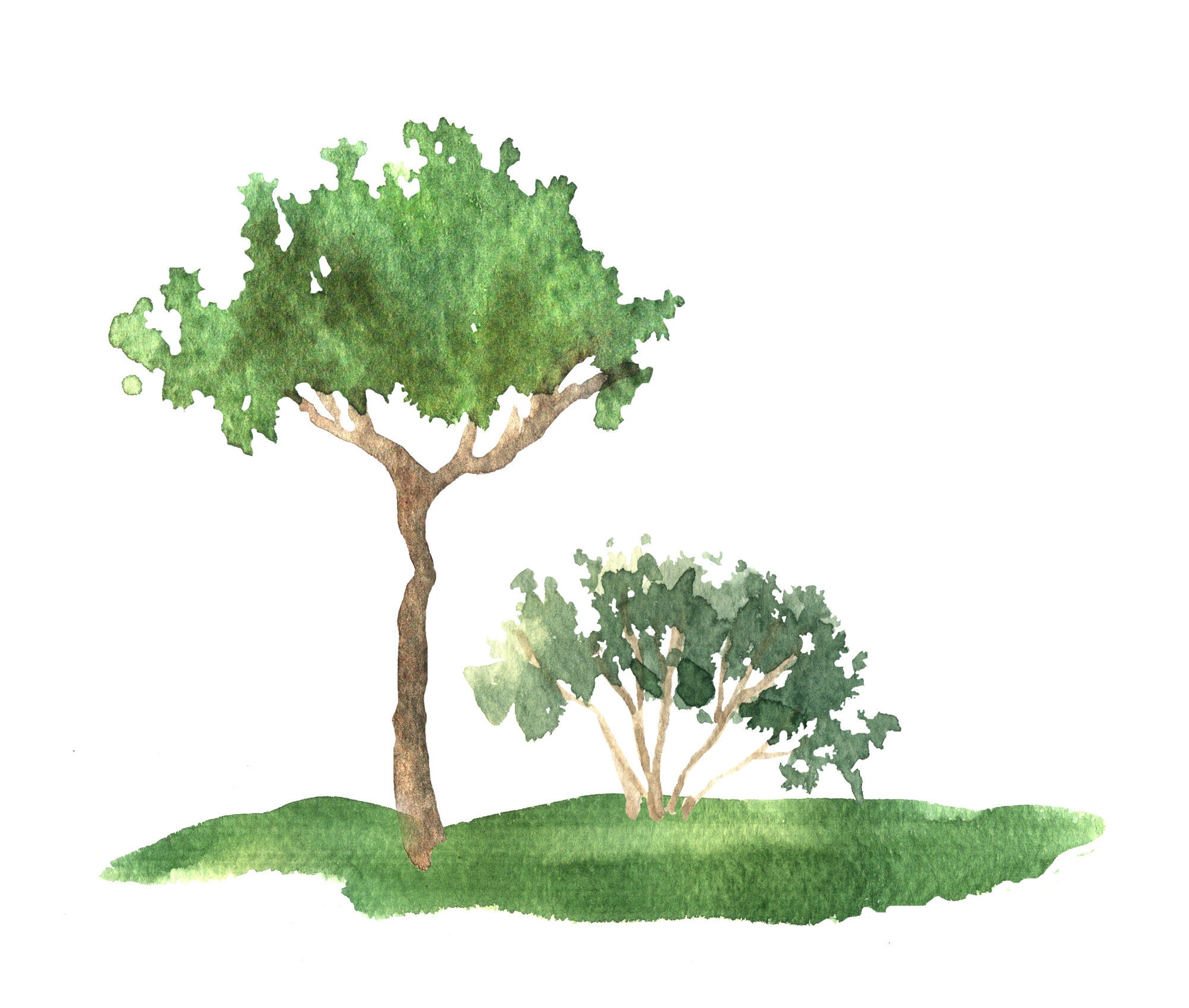 Watercolor Tree Clipart Trees Clipart Wood Clipart | Images and Photos ...