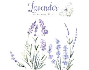 Watercolor Lavender Clipart, Watercolor Flowers, Hand Painted Flowers, Commercial Use, Personal Use, PNG