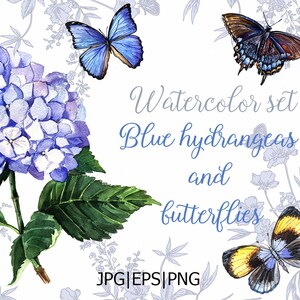 Clipart ad acquerello farfalle e ortensie, ortensie blu e farfalle per il download immediato. Partecipazione di nozze, file PNG JPG EPS di compleanno