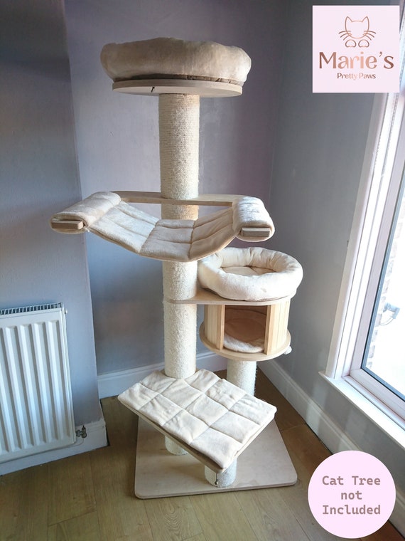 Natural paradise clearance cat