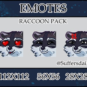 Raccoon Emotes