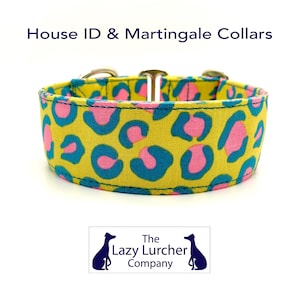 Greyhound Collar, Lurcher, Whippet, Saluki, House Collars, Martingale Collars