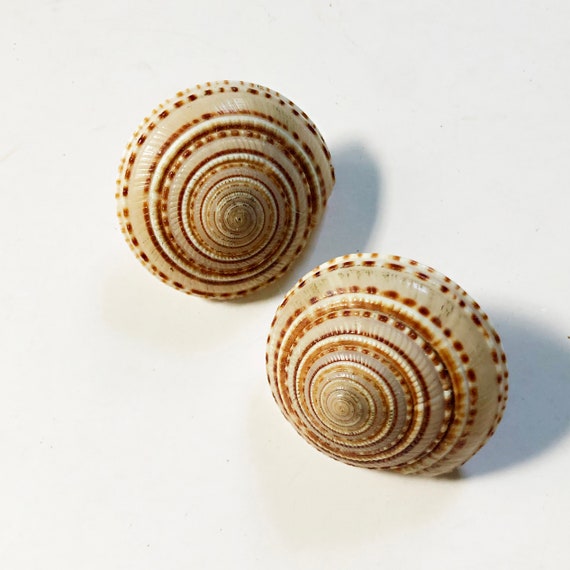 80's Conch Sea Shell Clip on Earrings - image 2