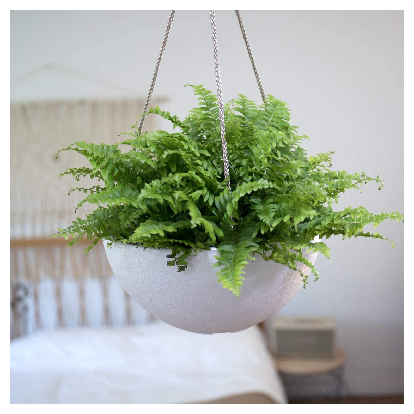 Planter Planter