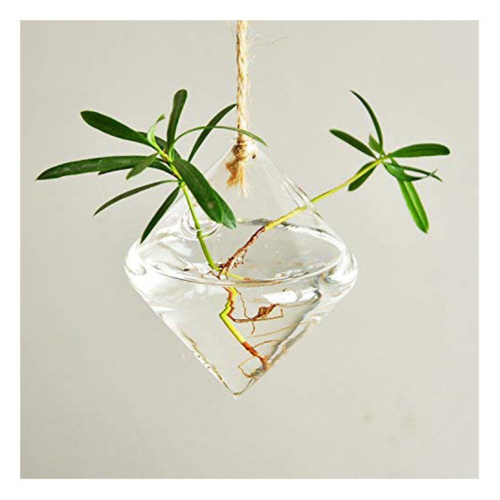 Set of 3 Hanging Glass Planter Plant Pots Planters Plants Etsy