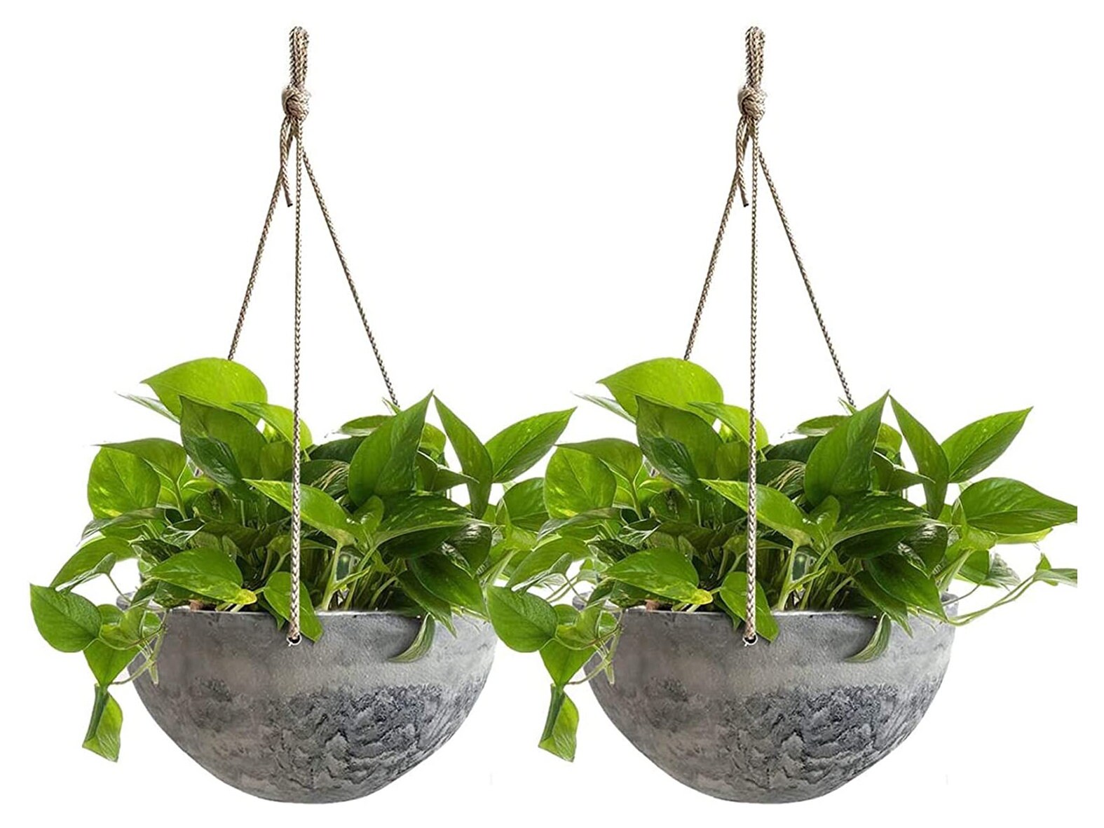 10 inch hanging planter