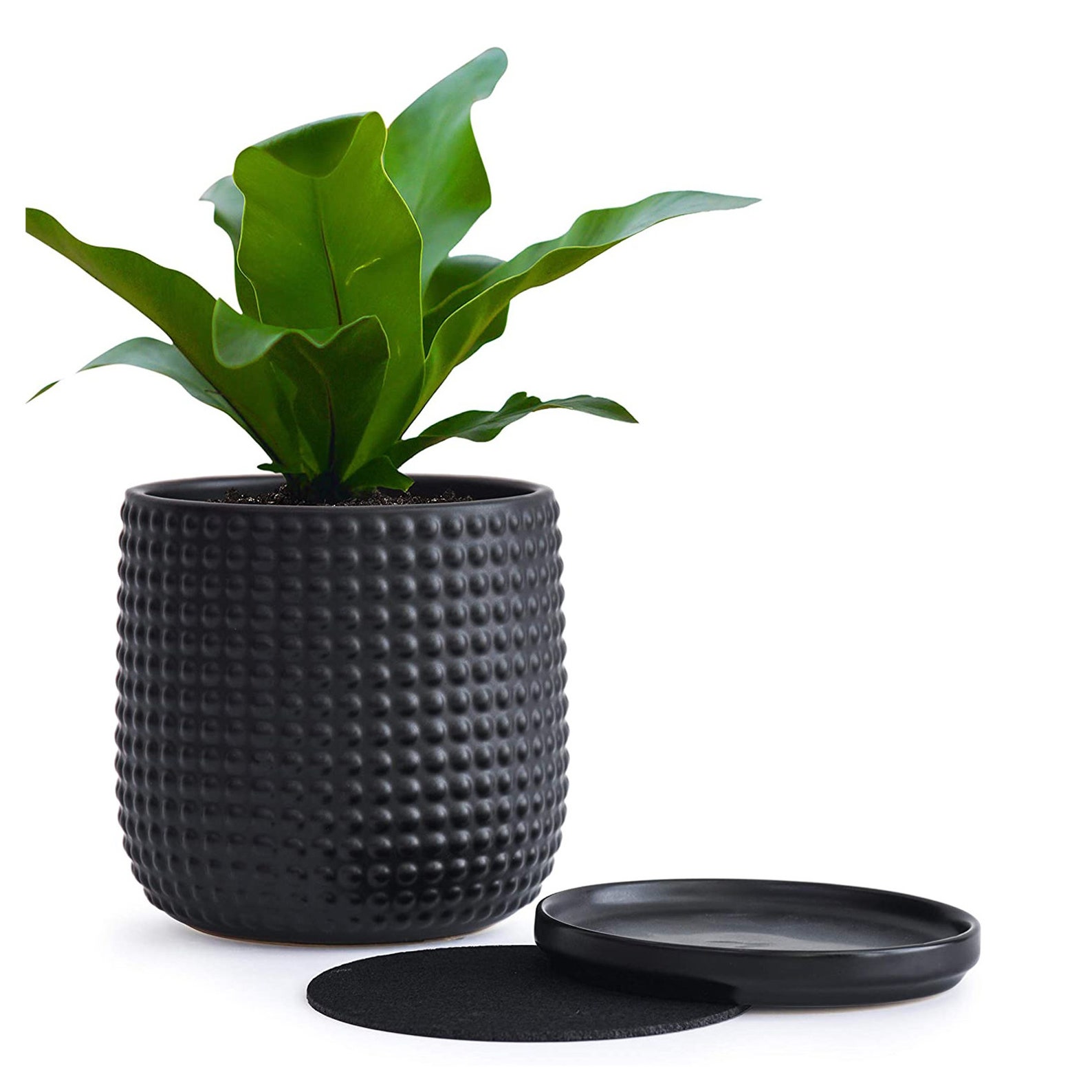 Black Indoor Flower Pots
