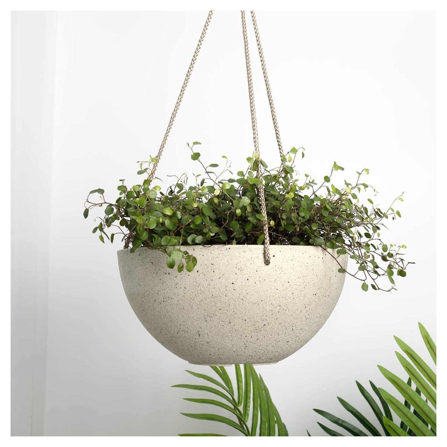 10 inch hanging planter