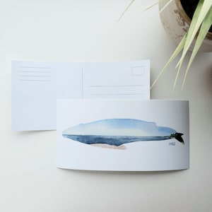 Carte postale baleine