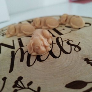 May include: Four small, beige, dog-shaped candies on a wooden tray with the words "Welcome Home" engraved on it.