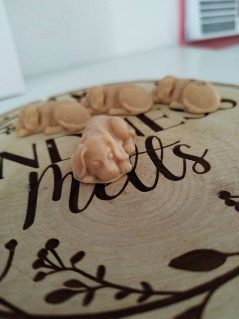 May include: Four small, beige, dog-shaped candies on a wooden tray with the words "Welcome Home" engraved on it.