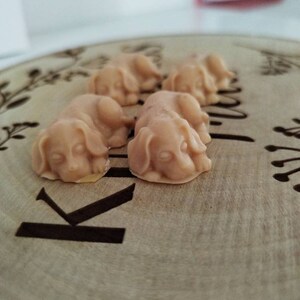 May include: Four small, beige, sleeping puppy-shaped soaps on a wooden surface with the word "Kind" engraved in the wood.