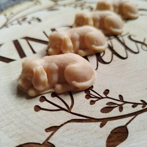 May include: Four small, beige, sleeping dog-shaped soaps on a wooden surface with a carved design.
