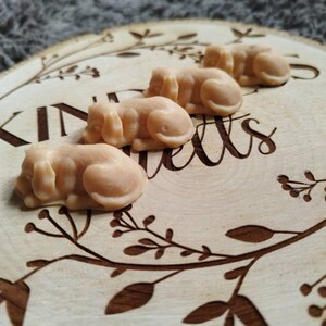 May include: Four small, beige, sleeping dog-shaped soaps on a wooden tray with a floral design and the word "Kindness" carved into the wood.