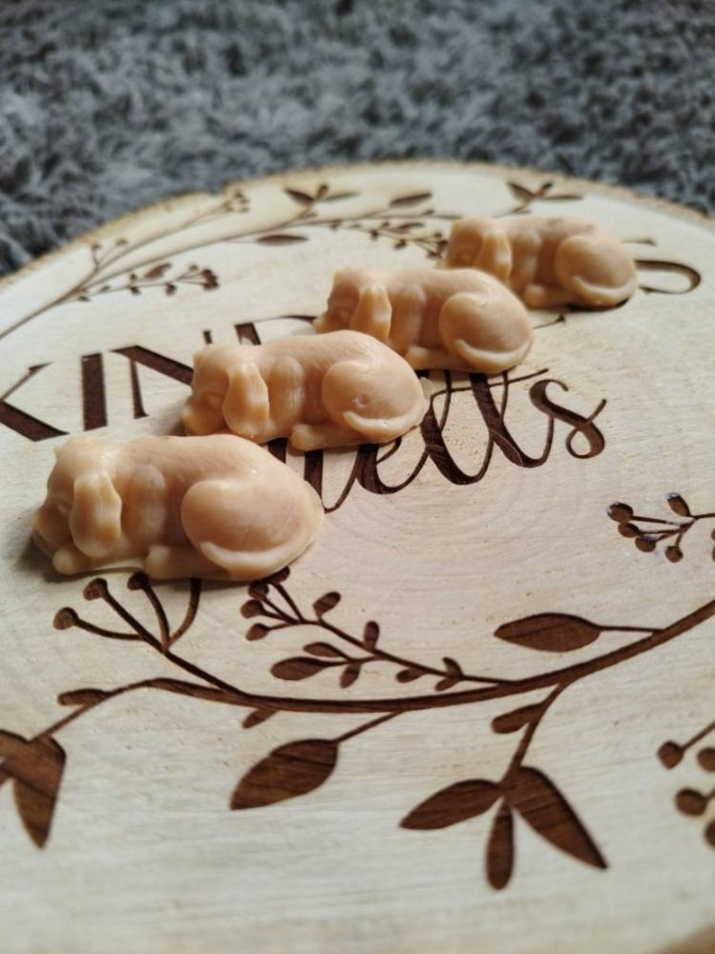 May include: Four small, beige, sleeping dog-shaped soaps on a wooden tray with a floral design and the word "Kindness" carved into the wood.