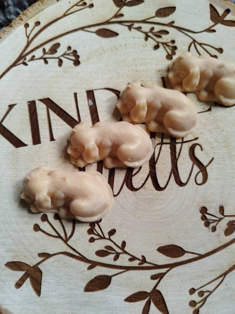 May include: Four small, beige, dog-shaped soaps on a wooden surface with the word "Kindness" engraved on it.
