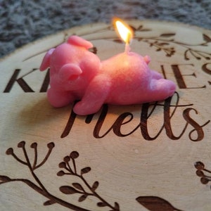 Pig Soy Scented Candle , Soy Wax, Choice of Colour and Scent, Birthday gift, Perfect for Birthdays and gift, Animal Candle Gift