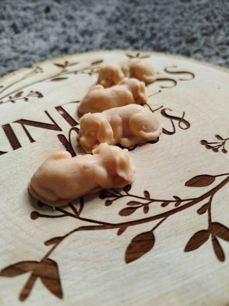 May include: Four small, beige, sleeping dog-shaped soaps on a wooden surface with the word "kindness" carved into it.