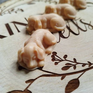 May include: Four small, beige, dog-shaped soaps on a wooden surface with a floral design. The soaps are arranged in a line, with the largest soap at the front and the smallest soap at the back.