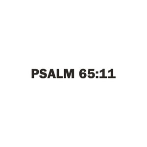 詩篇 65:11