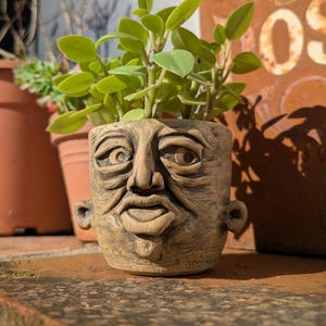 May include: A small, tan ceramic plant pot sculpted in the shape of a human face, with detailed facial features. It contains a green leafy plant. Other terracotta pots are visible in the background. The pot is approximately 10 cm in height.