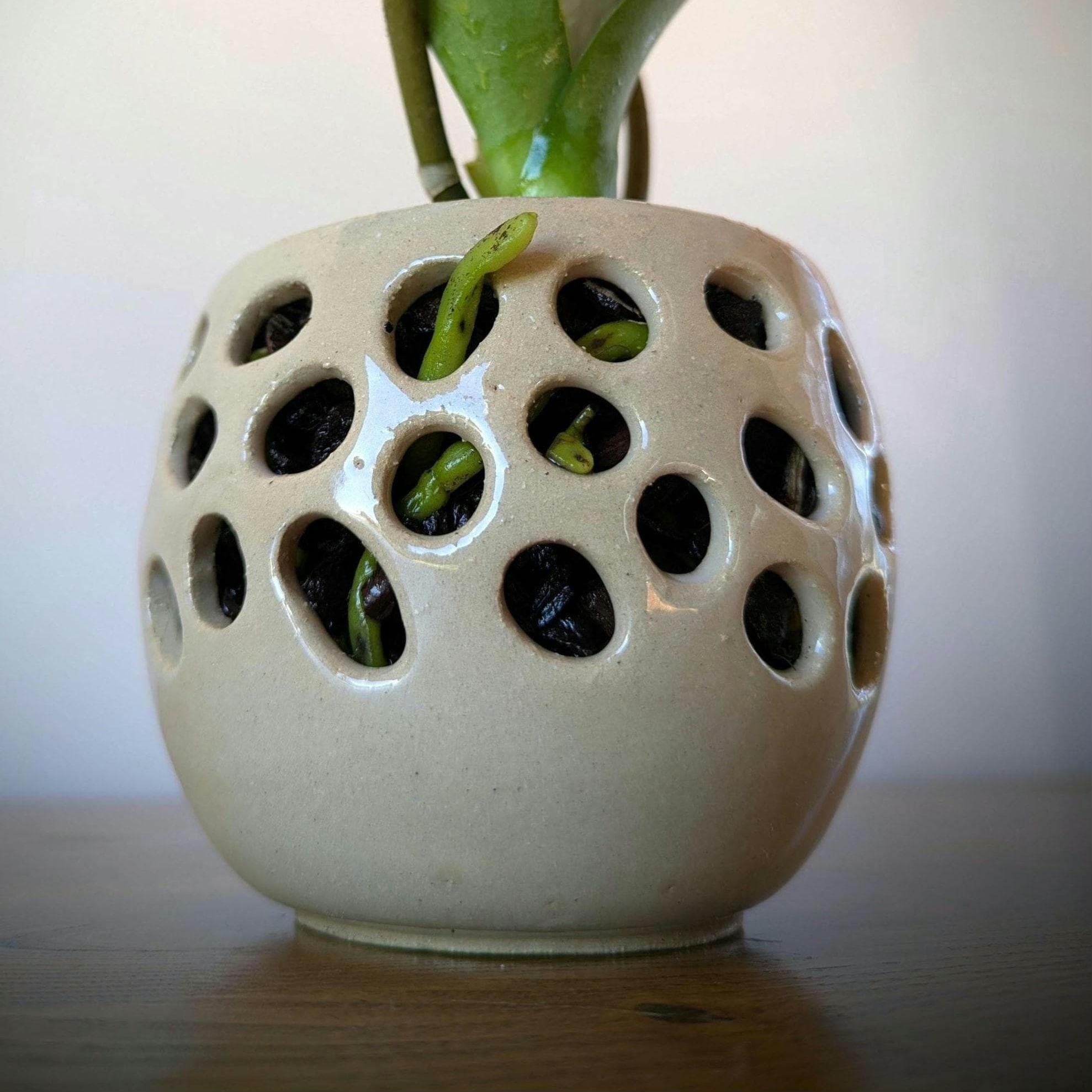 Vasi Per Orchidee In Terracotta Da 15,2 Cm - Confezione Da 3 Con Fori E Sottovasi - Perfetti Per Interni Ed Esterni - 3