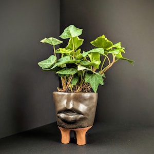 Puede incluir: Una pequeña planta de hiedra inglesa en maceta en una maceta de cerámica única. La maceta marrón oscuro tiene forma de rostro con labios prominentes y descansa sobre tres pequeños pies de color terracota. La hiedra tiene hojas verdes y amarillas.