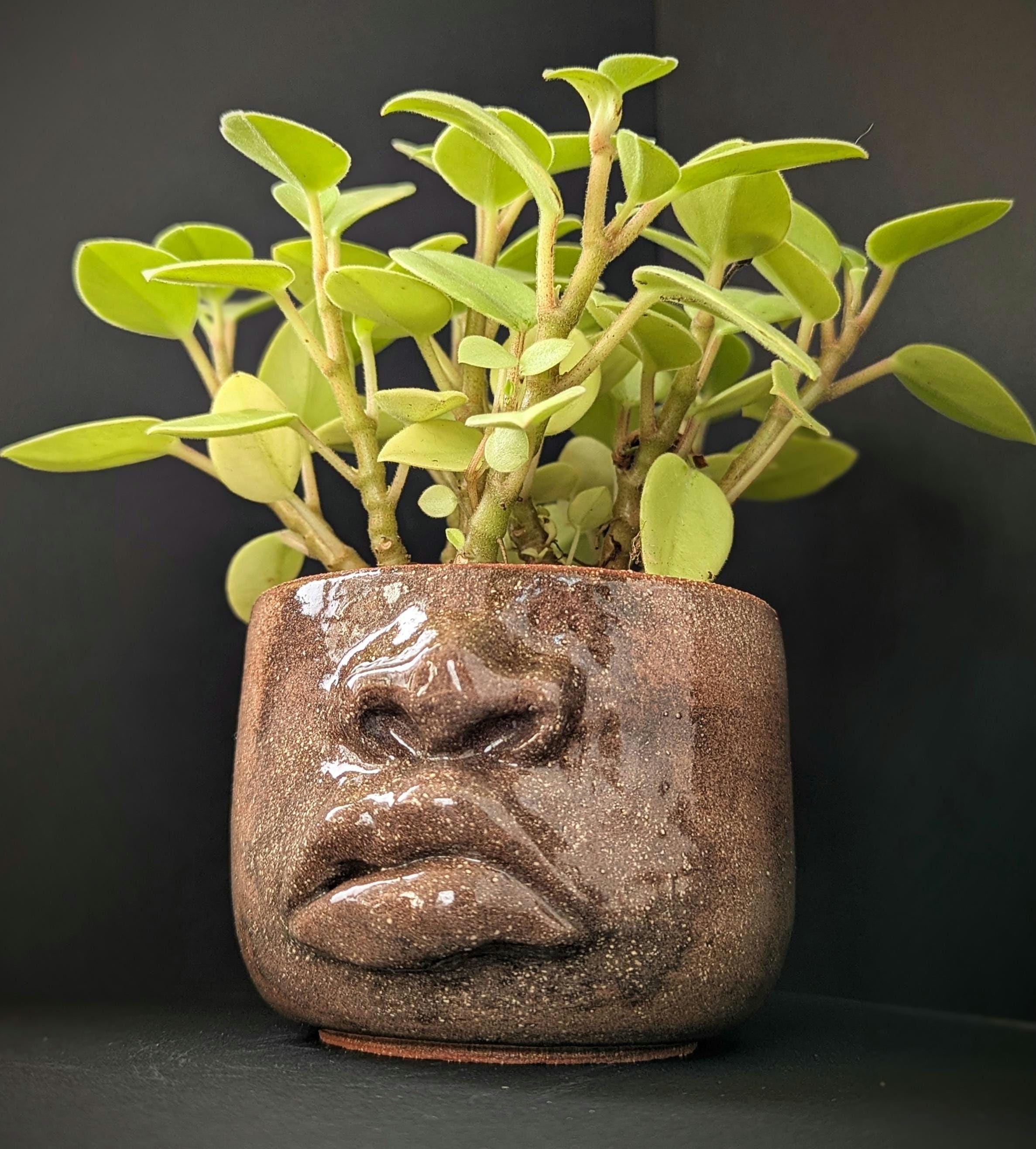 Tiki planter pot - Etsy 日本