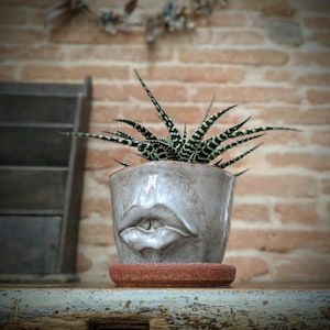 May include: A small succulent plant in a gray ceramic pot with a sculpted lips design, sitting on a terracotta saucer. The plant has green and white striped leaves. The background features a brick wall and a wooden shelf.