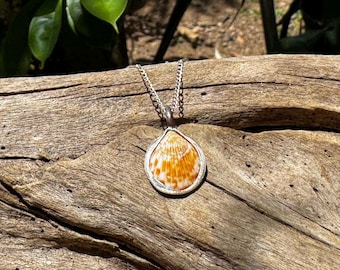 Dog Cockle Shell Necklace Sterling Silver Soldered Necklace Bezel