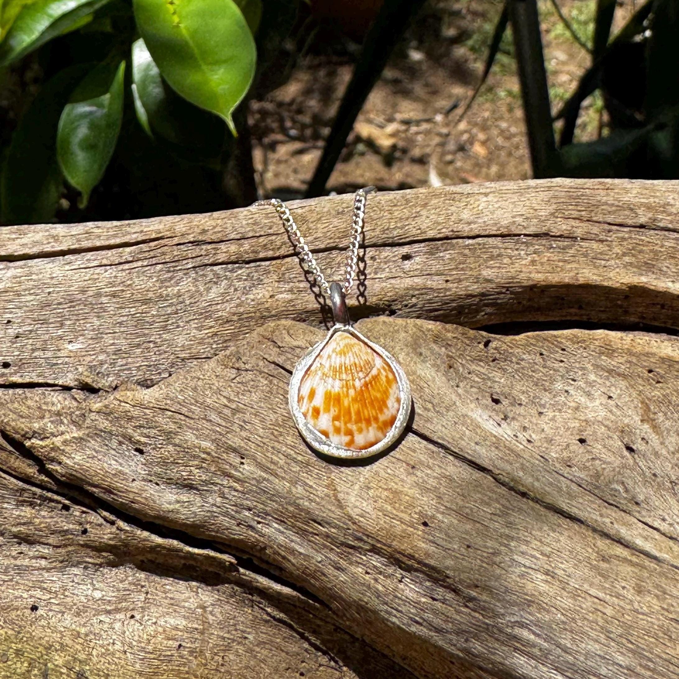 【plage】【FOLK N/フォークバイエヌ】SP SHELL ネックレス70 Dog Cockle Shell Necklace Sterling Silver Soldered Necklace Bezel