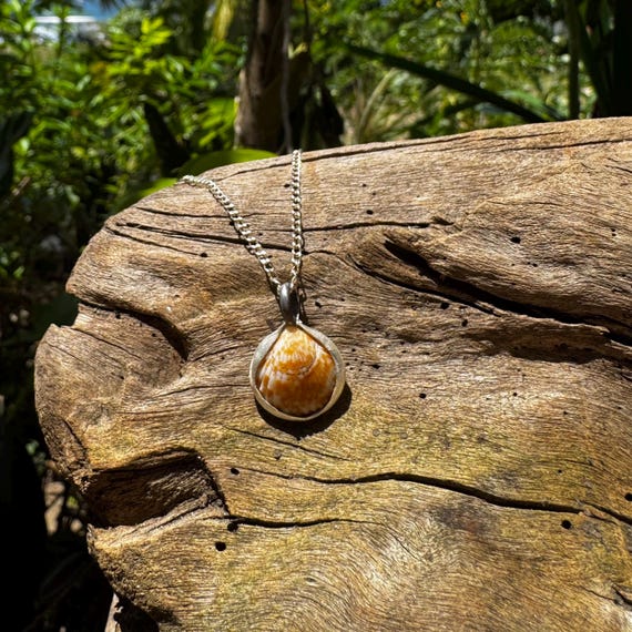 Dog Cockle Shell Necklace Sterling Silver Soldered Necklace Bezel