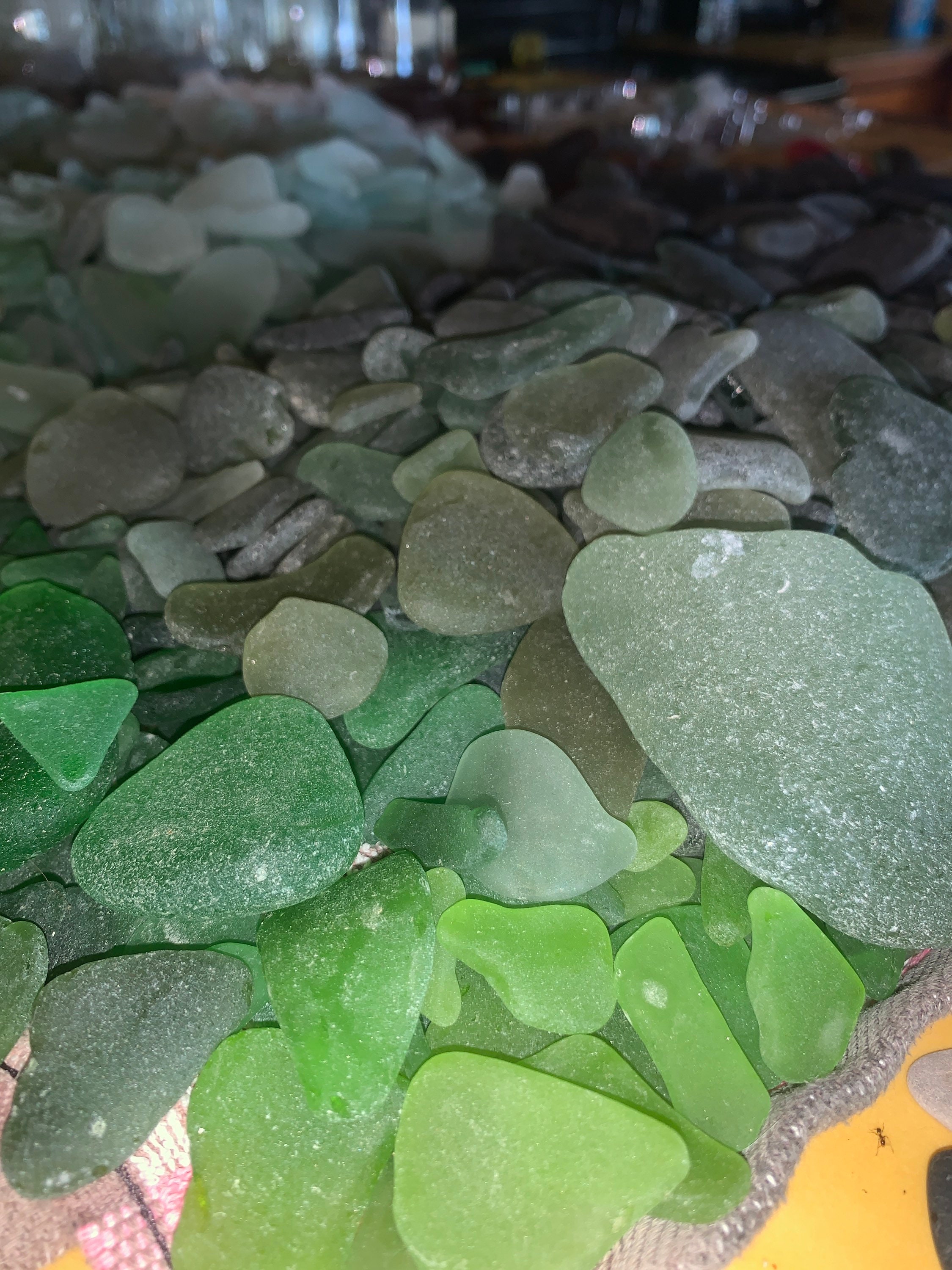 Caribbean Sea Glass Lot: Genuine White, Brown, Green Beach Glass ...