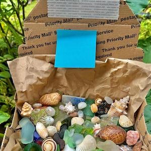May include: A brown paper bag filled with a variety of sea glass and seashells. The bag is sitting inside a cardboard box with a blue sticky note on the side. The box is labeled "Priority Mail" and "Service".