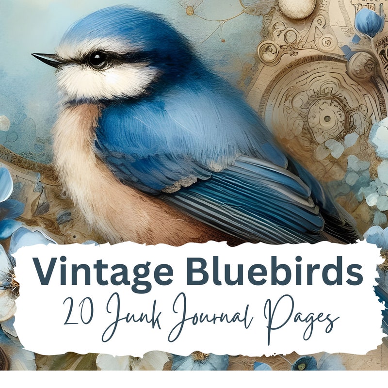 Vintage Bluebird - Etsy
